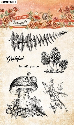 Picture of Studio Light Διάφανες Σφραγίδες - Autumn Bouquets, Autumn Days, 6τεμ.