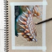 Picture of Strathmore Series 400 Paper Pad - Μπλοκ Σχεδίου Spiral - Toned Tan, 14 x 22 cm 
