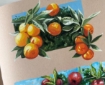 Picture of Strathmore 400 Series Mixed Media Pad 28 x 36 cm | Μπλοκ Μικτών Τεχνικών σε Ζεστό Μπεζ Τόνο 300gsm, 15 Φύλλα