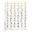 Picture of Daniel Smith Extra Fine Watercolors Dot Card Κάρτα Δοκιμής - 288 Χρώματα