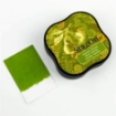 Picture of Stazon Midi Ink Pad - Μόνιμο Μελάνι για μη Πορώδεις Επιφάνειες, Cactus Green