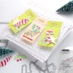 Picture of Pinkfresh Studio Dies & Stamps Set Σφραγίδες και Μήτρες Κοπής - Festive Tickets, 12τεμ.