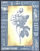 Picture of Tim Holtz Distress Oxide Spray | Υβριδικό Μελάνι Οξείδωσης σε Σπρέι για Mixed Media – Faded Jeans