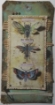 Picture of Tim Holtz Distress Oxide Spray | Υβριδικό Μελάνι Οξείδωσης σε Σπρέι για Mixed Media - Vintage Photo