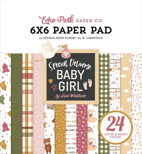 Picture of Echo Park Paper Pad 6"x6" | Μπλοκ Χαρτιών Special Delivery Baby Girl, 24 Φύλλα