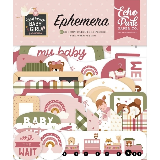 Picture of Echo Park Cardstock Ephemera | Διακοσμητικά Εφήμερα Special Delivery Baby Girl Icons, 34τεμ.