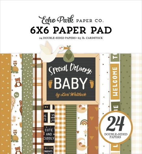 Picture of Echo Park Μπλοκ Scrapbooking Διπλής Όψης 6"X6" - Special Delivery Baby 