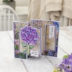 Picture of Crafter’s Companion Nature’s Garden Hydrangea Statement Hydrangea | Σφραγίδες & Μήτρες Κοπής 4 τεμ.