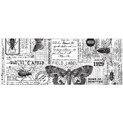 Picture of Tim Holtz Idea-Ology Collage Paper Ριζόχαρτο 5.5m x 6'' - Entomology
