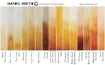 Picture of Daniel Smith Extra Fine Watercolor Tube | Χρώμα Ακουαρέλας σε Σωληνάριο – Raw Sienna