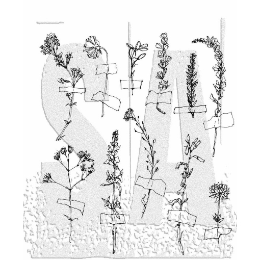 Picture of Stampers Anonymous Tim Holtz Σετ Σφραγίδες 7"X8.5" - Forgotten Garden, 11τεμ.