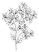 Picture of Crafter's Companion Διάφανη Σφραγίδα - Nature's Garden - Honeysuckle, Honeysuckle Flower