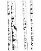 Picture of Studio Light Winter Garden Birch Trees Nr.87 | Στένσιλ 6" x 8"