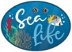 Picture of Echo Park Sea Life | Θαλασσινή Συλλογή Scrapbooking