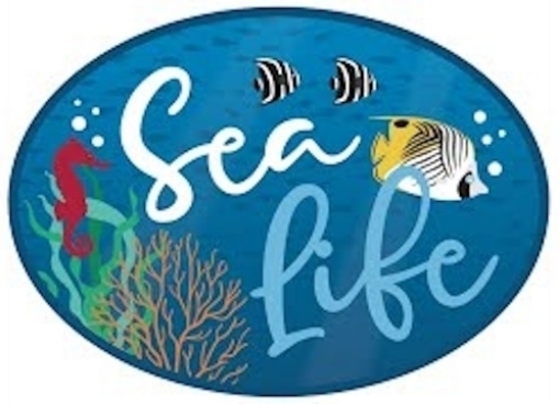 Picture of Echo Park Sea Life | Θαλασσινή Συλλογή Scrapbooking