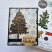 Picture of Sizzix Framelits Die & Stamp Set Σετ Σφραγίδες & Μήτρες Κοπής A5 - Pine Holidays, 21τεμ.