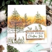 Picture of Sizzix Framelits Die & Stamp Set Σετ Σφραγίδες & Μήτρες Κοπής A5 - Pine Holidays, 21τεμ.