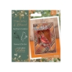 Picture of Crafter’s Companion Nature’s Garden Thankful & Blessed Northern Cardinal | Σφραγίδα & Μήτρα Κοπής