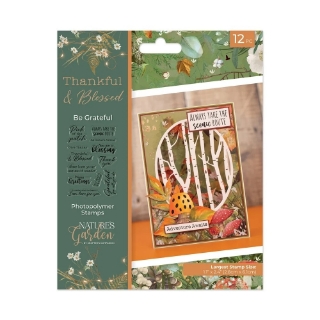 Picture of Crafter’s Companion Nature’s Garden Thankful & Blessed Be Grateful | Διάφανες Σφραγίδες 12 τεμ.
