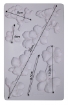 Picture of Prima Re-Design Decor Mould – Καλούπι Σιλικόνης 5'' x 8'' – Botanical Blossoms