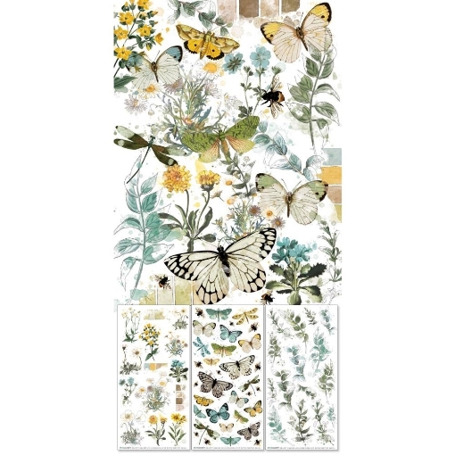 Picture of 49 & Market Rub-Ons Φύλλα Μεταφοράς Εικόνας 15 x 30.5 cm - Krafty Garden, Botanicals, 3τεμ.