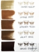 Picture of Tim Holtz Distress Ink Pad | Υδατοδιαλυτό Dye Μελάνι για Blending & Mixed Media - Gathered Twigs