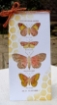 Picture of Stampers Anonymous Tim Holtz Σετ Cling Σφραγίδες - Papillon, 4τεμ.