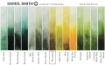 Picture of Daniel Smith Extra Fine Tubes Χρώμα Ακουαρέλας Σωληνάριο - Olive Green