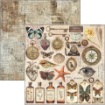 Picture of Ciao Bella Μπλοκ Scrapbooking Διπλής Όψεως 12” x 12” - Cabinet of Curiosities   