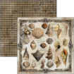 Picture of Ciao Bella Μπλοκ Scrapbooking Διπλής Όψεως 12” x 12” - Cabinet of Curiosities   