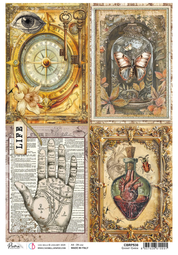 Picture of Ciao Bella Ριζόχαρτο Mixed A4 - Cabinet of Curiosities, Cabinet Cards, 5τεμ. 