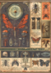 Picture of Ciao Bella Ριζόχαρτο Mixed A5 - Cabinet of Curiosities, 8τεμ.  