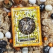 Picture of Tim Holtz Σετ Σφραγίδες & Στένσιλ – Mixed Media #15 Butterflies, 7τεμ. 