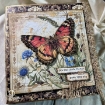 Picture of Ciao Bella Patterns Pad Διπλής Όψεως 12” x 12” - Cabinet of Curiosities  