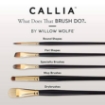 Picture of Willow Wolfe Callia Artist Mixed Media Starter Brush Set - Σετ Πινέλα για Mixed Media - Σετ 100: Liner, Round, Angle, Flat, 4τεμ.