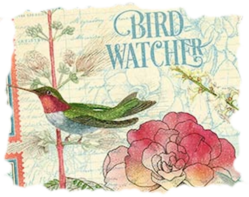 Picture of Graphic45 Bird Watcher