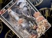 Picture of Graphic 45 Διακοσμητικά Chipboard Tags & Frames - Ghostly Greetings, 32τεμ.