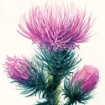 Picture of Strathmore 400 Series Watercolor Pad 23 x 31 cm | Μπλοκ Ακουαρέλας Cold Press 300gsm, 15 Φύλλα