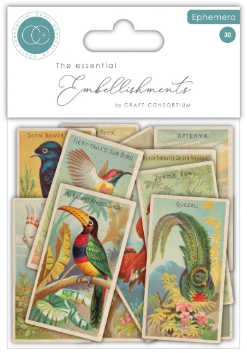 Picture of Craft Consortium The Collector Ephemera Birds | Vintage Die-Cut Διακοσμητικά Πουλιών, 30τεμ.