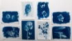 Picture of PAR DIY Cyanotype Kit Paper | Κιτ Κυανοτυπίας για Εκτυπώσεις σε Χαρτί 
