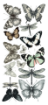 Picture of Ciao Bella Art Stickers Transparent Adhesive Sheets - Typographic, 5 Φύλλα