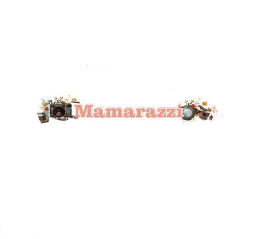Picture of Mintay Papers Συλλογή Scrapbooking - Mamarazzi