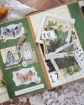 Picture of Mintay Papers Botany - Συλλογή Scrapbooking
