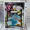 Picture of Lisa Horton Crafts 3D Embossing Folder | Φάκελος Ανάγλυφης Αποτύπωσης – Sea Coral, 5x7”