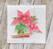 Picture of Lisa Horton Crafts Cloud 9 Matt Blending Ink Pad - Ματ Μελάνι Straw Hat