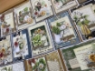 Picture of Mintay Papers Συλλογή Scrapbooking 12" x 12" - Botany