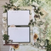 Picture of Mintay Papers Μπλοκ Scrapbooking Διπλής Όψης 6" x 6" - Botany