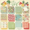 Picture of Graphic 45 Slice of Life 12x12 Inch Collection Pack - Σετ Χαρτιών Scrapbooking Διπλής Όψης, 24 Φύλλα
