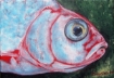 Picture of ARA Artists Acrylics | Μεταλλικό Ακρυλικό Χρώμα για Μεικτές Τεχνικές – Metallic Turquoise