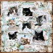Picture of Mintay Papers Συλλογή Scrapbooking - In My Craftroom